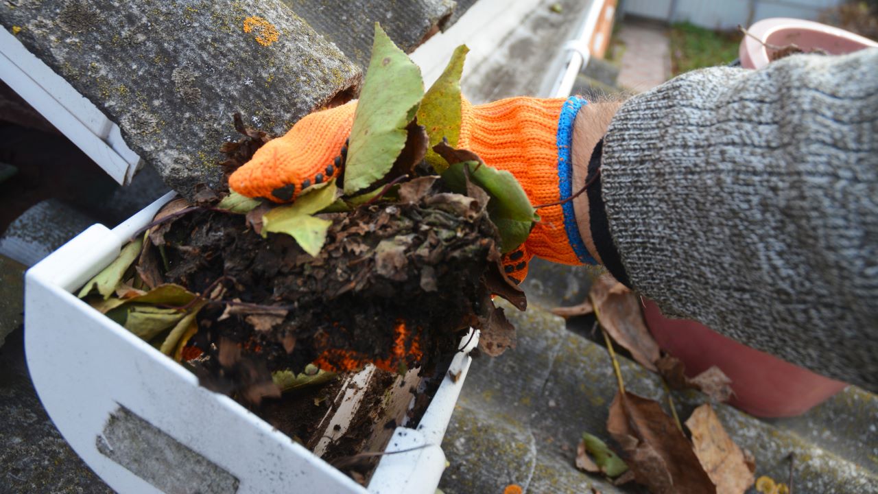 A man is cleaning a clogged roof gutter from dirt, debris and fallen leaves to prevent water damage and let rainwater drain properly.