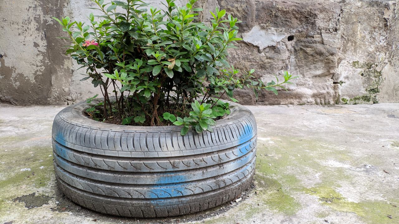 an image of an old tyre planter with plant inside