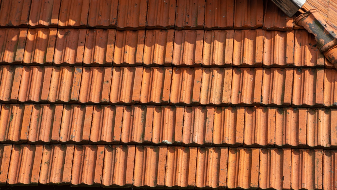 keep house roof clean